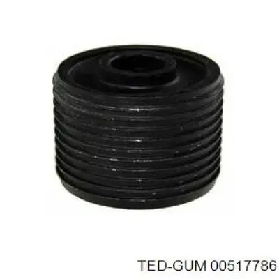  00517786 Ted-gum