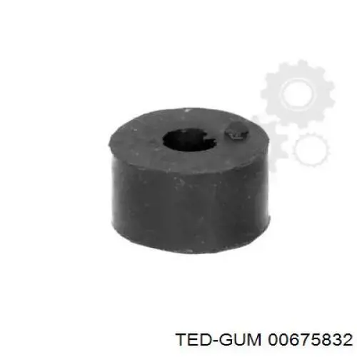 00675832 Ted-gum