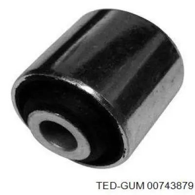00743879 Ted-gum