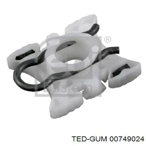 00749024 Ted-gum