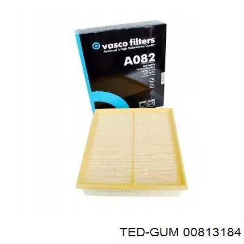 00813184 Ted-gum