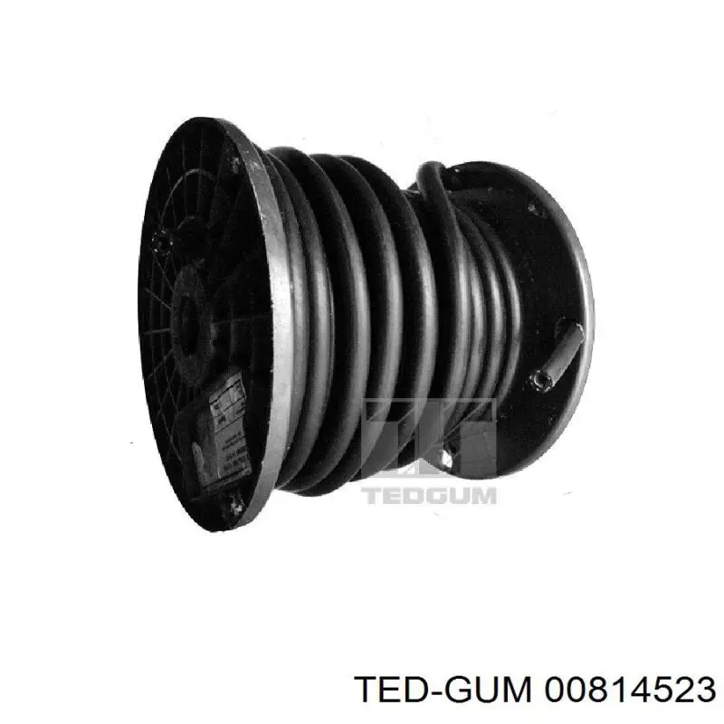 Tubería de retorno de combustible de los inyectores Ted-gum 00814523 precio, desde 3,94 EUR