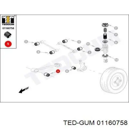 01160758 Ted-gum