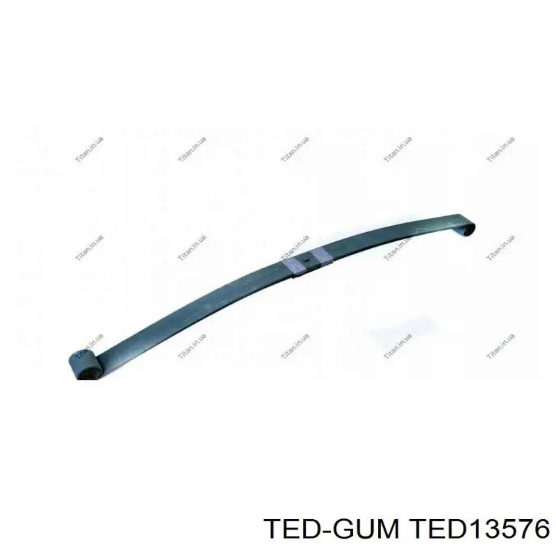 TED13576 Ted-gum silentblock delantero de ballesta delantera