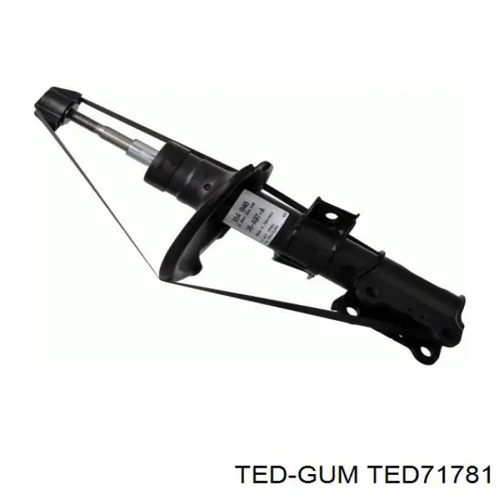 Comprar TED71781 Ted-gum 