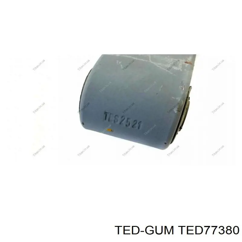 TED77380 Ted-gum silentblock trasero de ballesta trasera