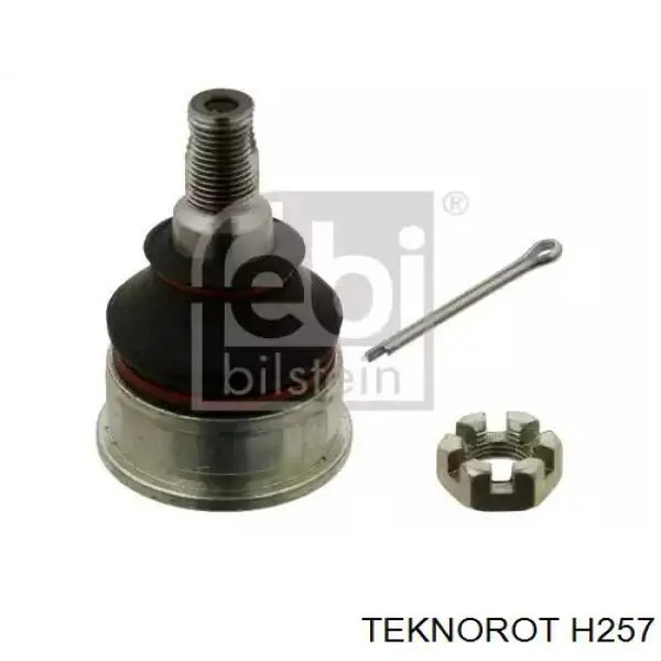 Rótula inferior de suspensión Teknorot H257 precio, desde 11,33 EUR