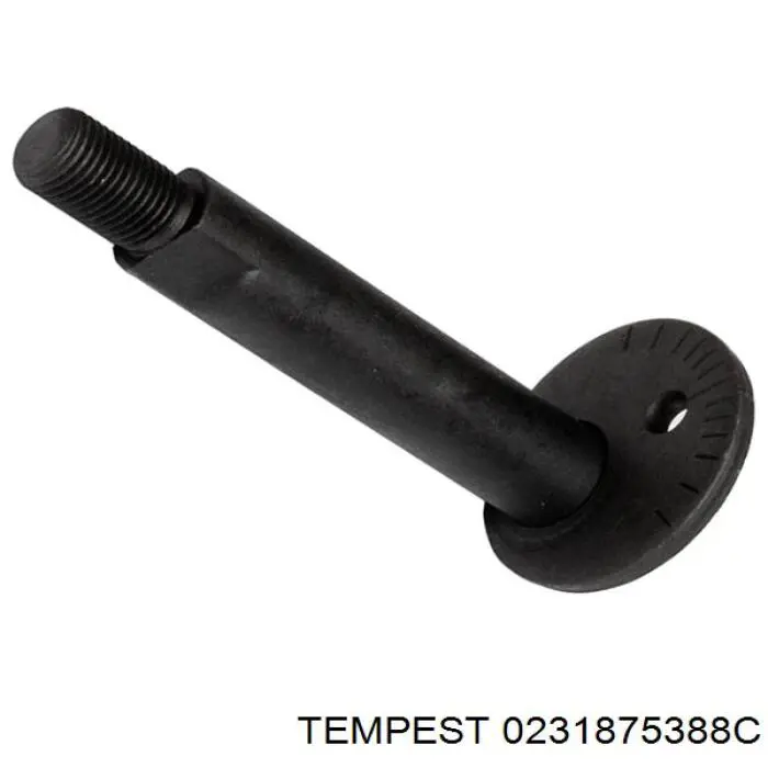 Paso rueda 0231875388C Tempest