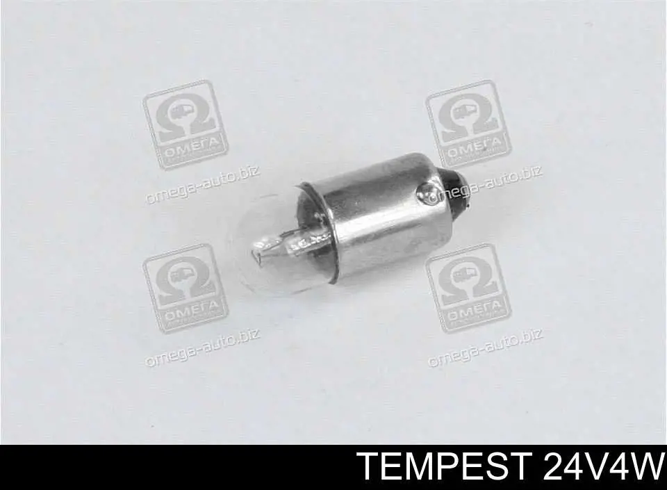 24V4W Tempest