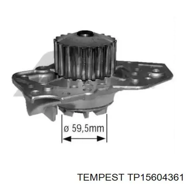 Radiador TP15604361 Tempest