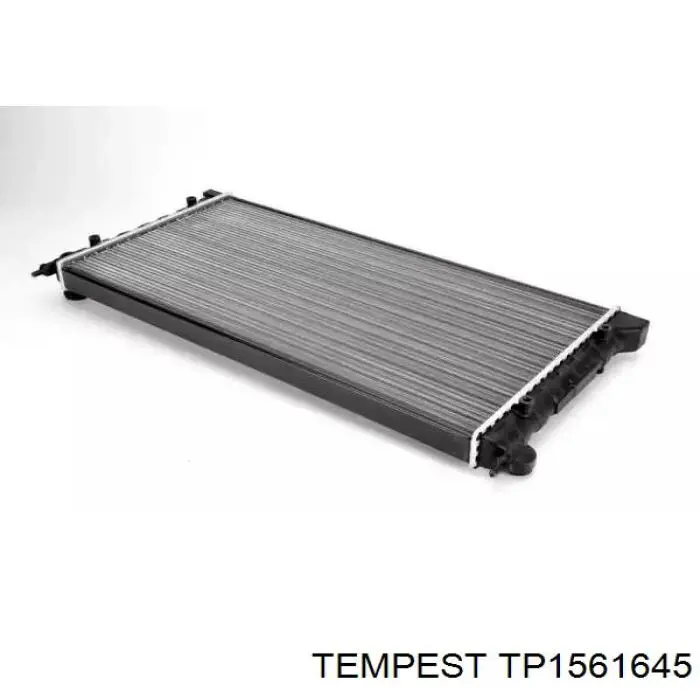 Radiador TP1561645 Tempest