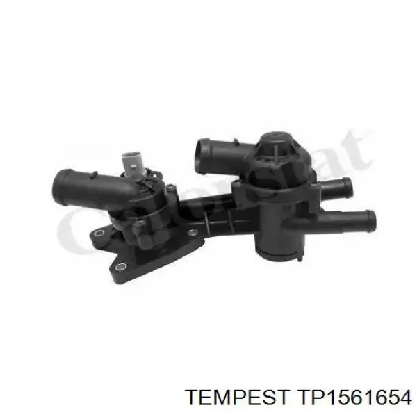 Água radiador Tempest TP1561654 precio, desde 55,96 EUR