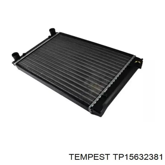 Radiador TP15632381 Tempest