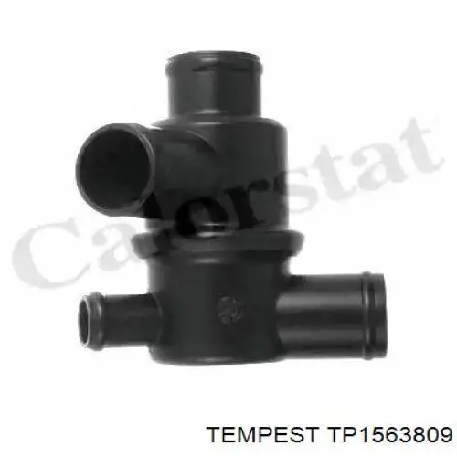 Radiador TP1563809 Tempest