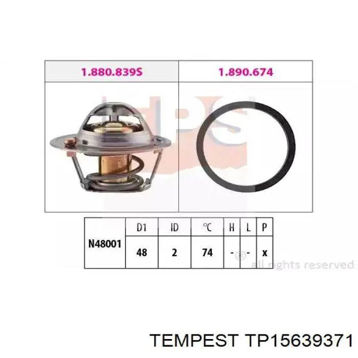 Radiador TP15639371 Tempest