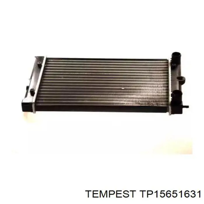 Radiador TP15651631 Tempest