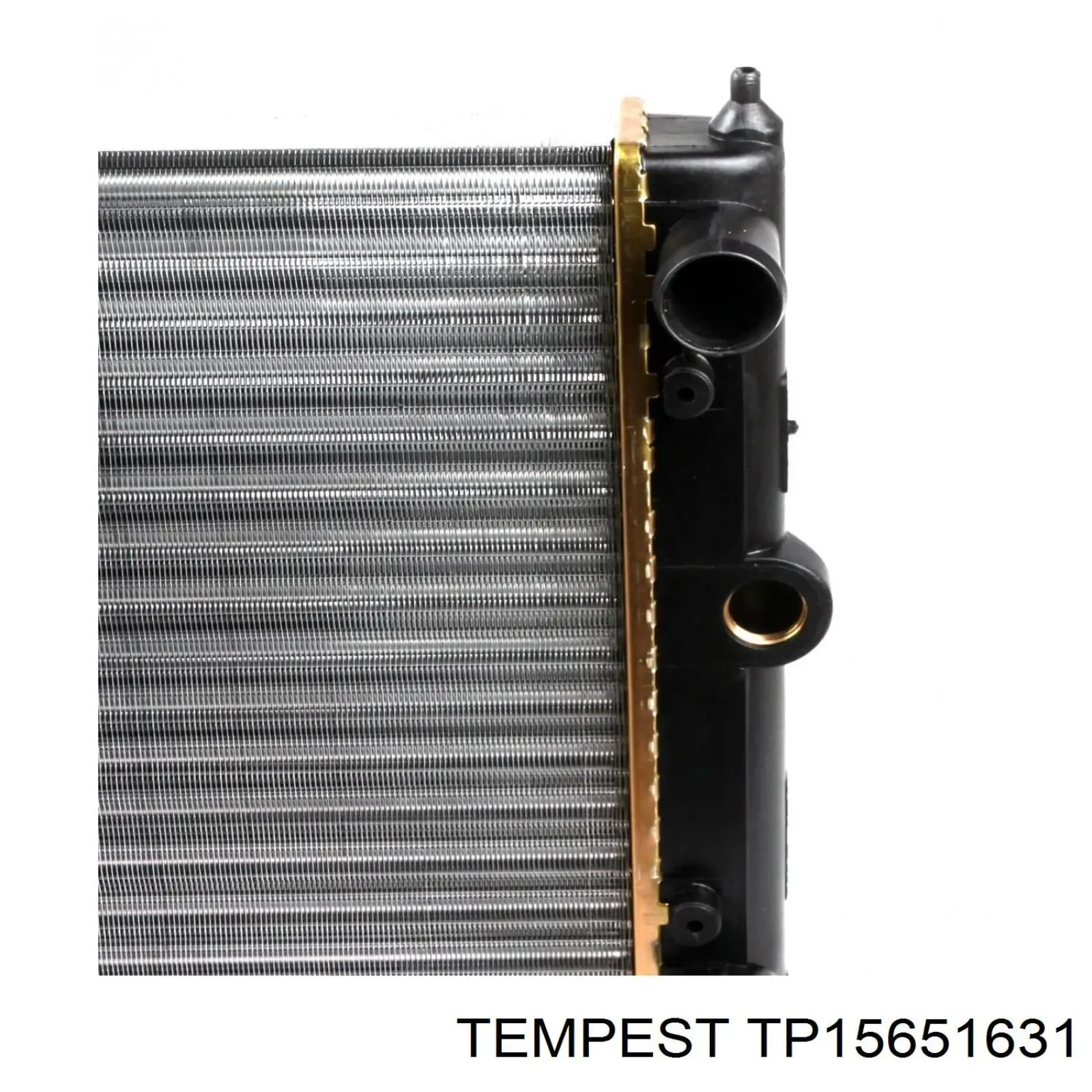 Água radiador Tempest TP15651631 precio, desde 34,71 EUR