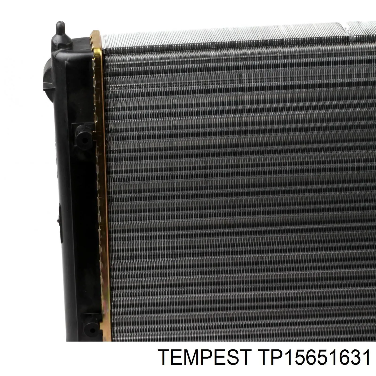 Comprar TP15651631 Tempest Radiador de auto