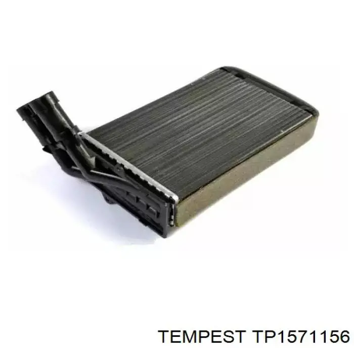 TP1571156 Tempest radiador calefacción