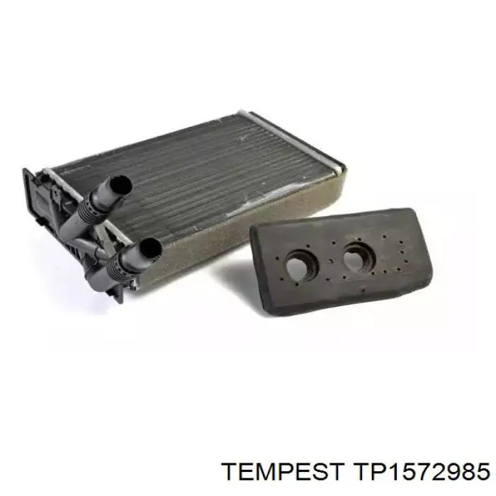 TP.1572985 Tempest radiador de calefacción