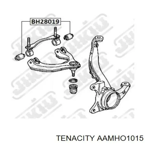 AAMHO1015 Tenacity silentblock de brazo de suspensión delantero superior