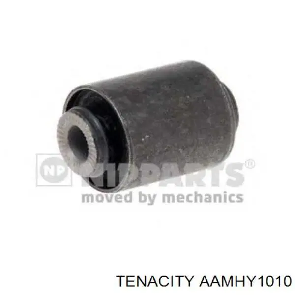 AAMHY1010 Tenacity