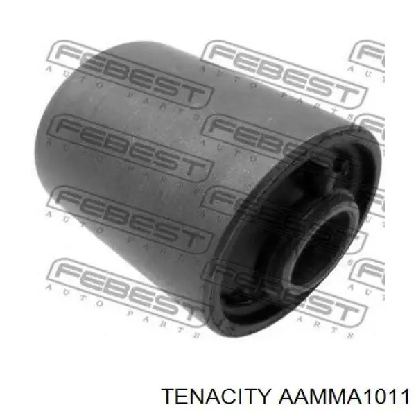 AAMMA1011 Tenacity