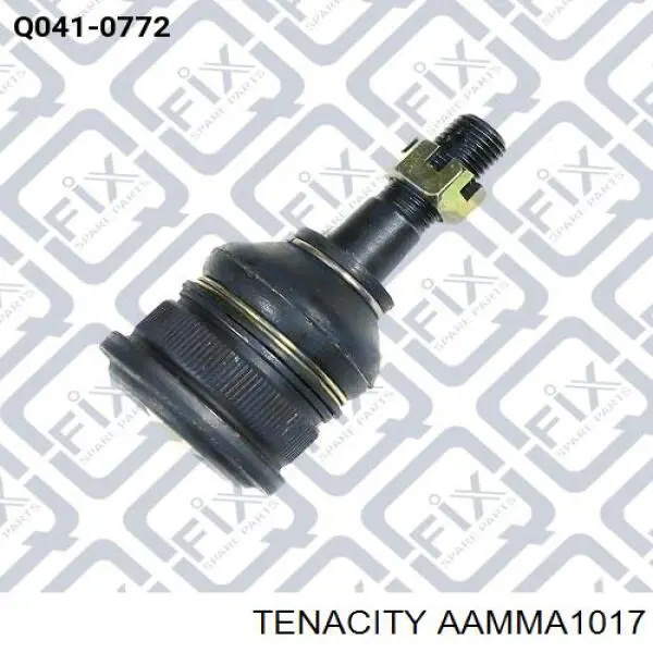 AAMMA1017 Tenacity