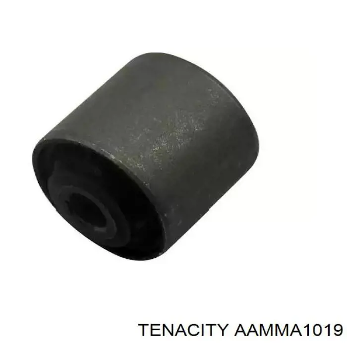 Silentblock del brazo de suspensión AAMMA1019 Tenacity
