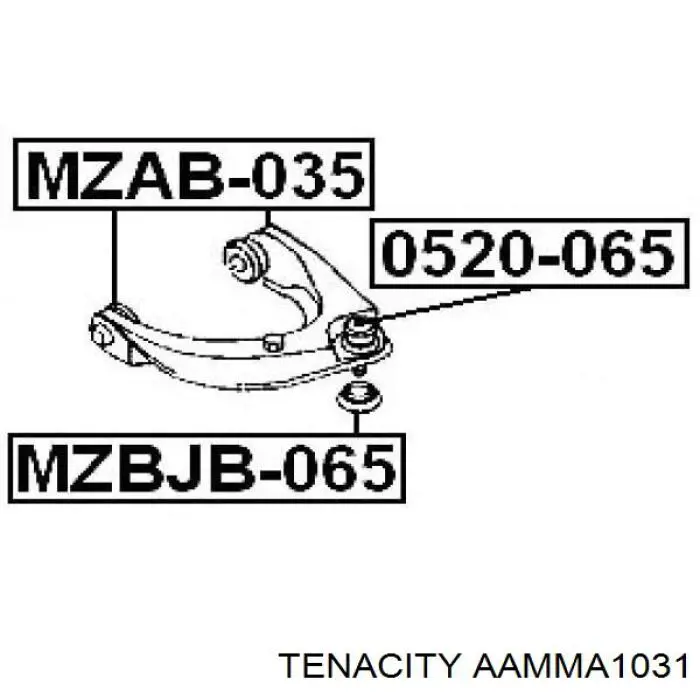 AAMMA1031 Tenacity