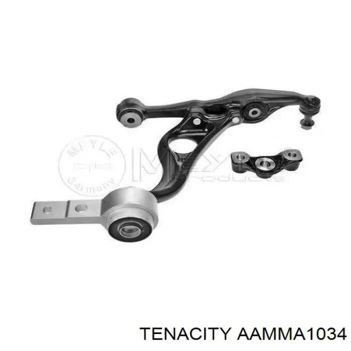 Buje del brazo inferior trasero AAMMA1034 Tenacity