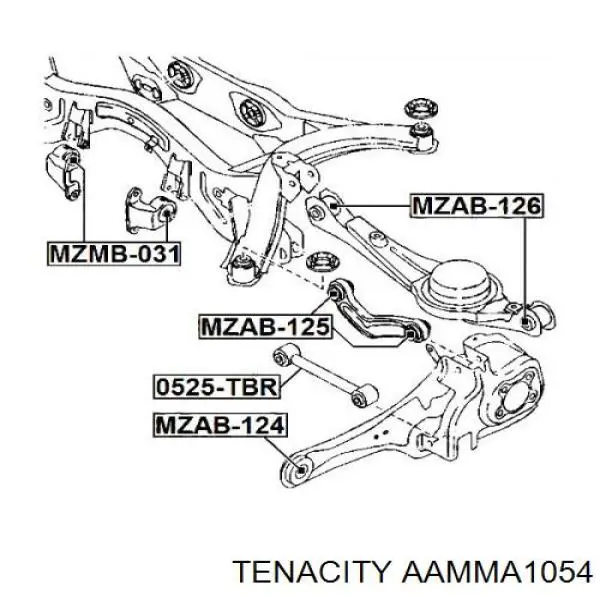 Buje del brazo inferior trasero AAMMA1054 Tenacity