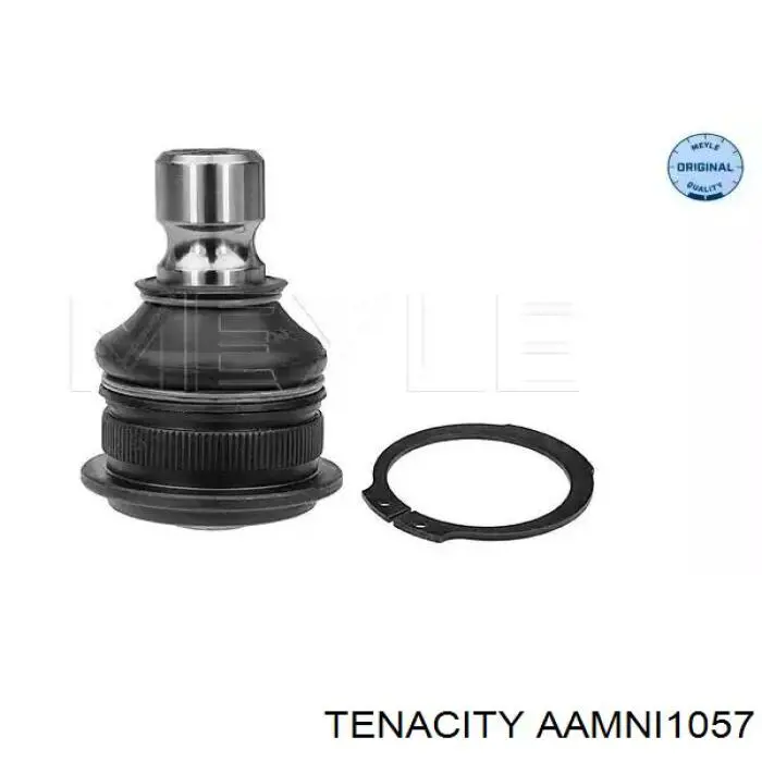 Silentblock de brazo de suspensión Tenacity AAMNI1057 precio, desde 9,68 EUR