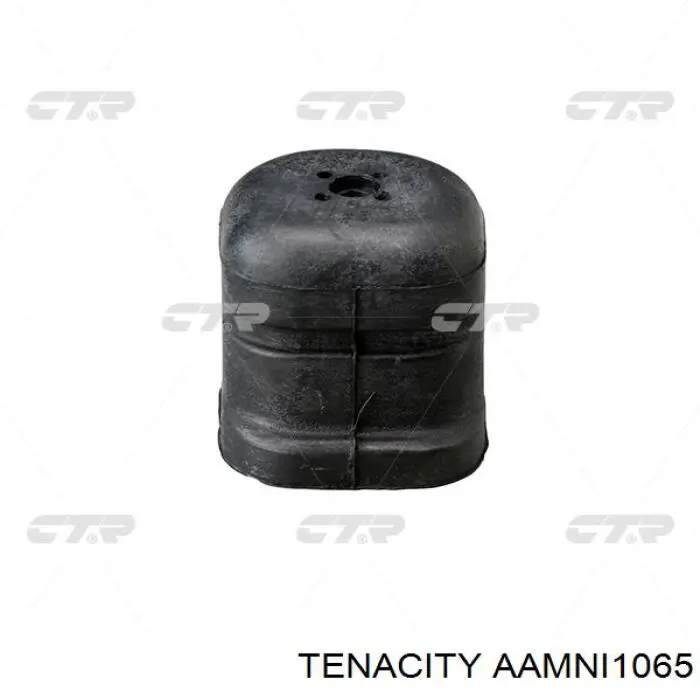 AAMNI1065 Tenacity Silentblock de brazo de suspensión delantero inferior