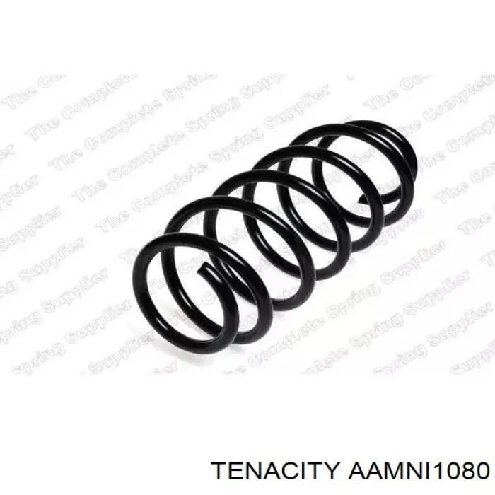 Brazo inferior izquierdo de la suspensión delantera AAMNI1080 Tenacity