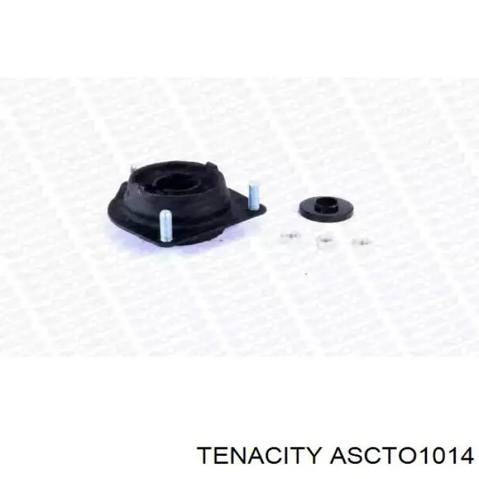 ASCTO1014 Tenacity