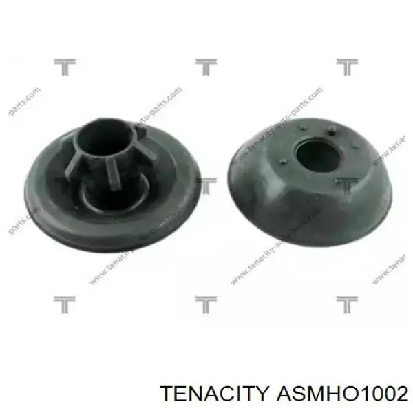 ASMHO1002 Tenacity