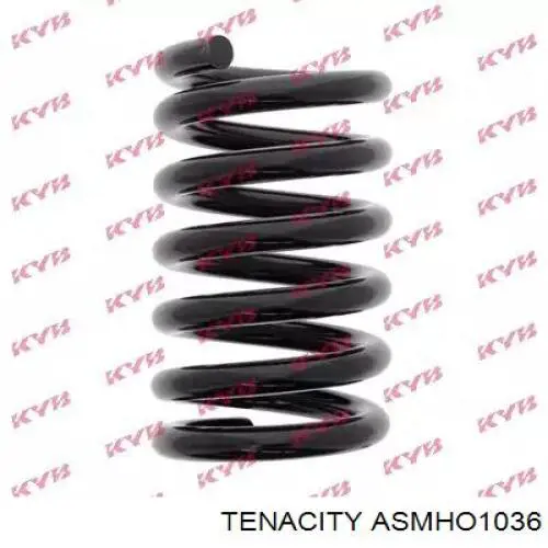 ASMHO1036 Tenacity