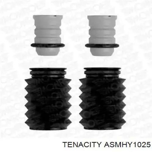 ASMHY1025 Tenacity