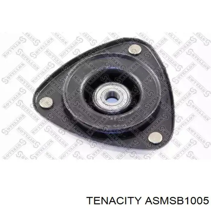 ASMSB1005 Tenacity