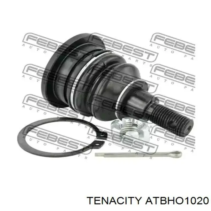 Comprar ATBHO1020 Tenacity Rótula inferior de suspensión
