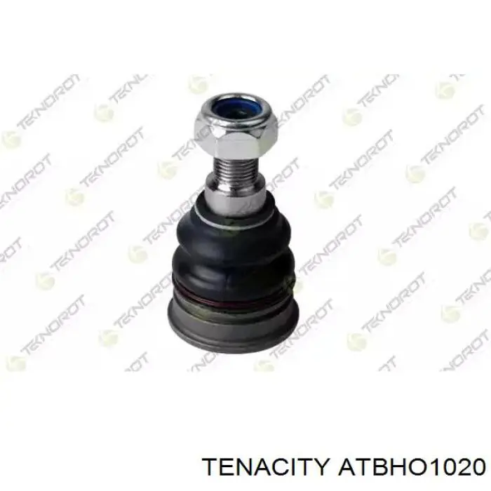 Rótula inferior de suspensión Tenacity ATBHO1020 precio, desde 23,48 EUR