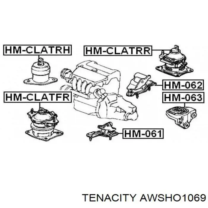 AWSHO1069 Tenacity soporte, motor izquierdo, delantero