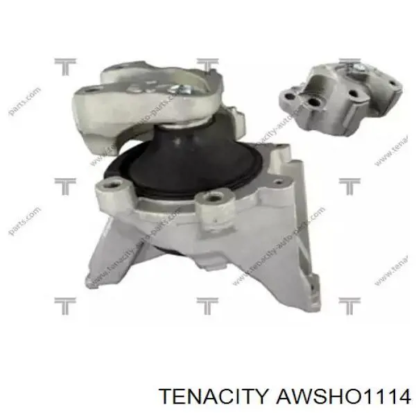 AWSHO1114 Tenacity soporte, motor, derecho inferior