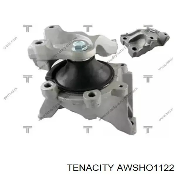 Soporte inferior derecho del motor Tenacity AWSHO1122 precio, desde 68,47 EUR
