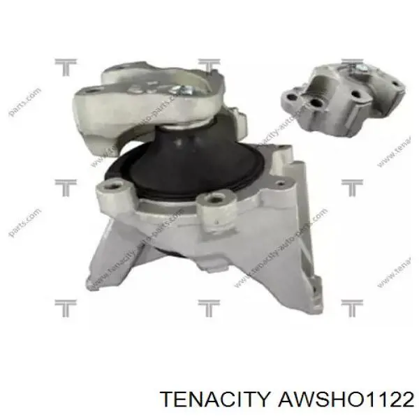 AWSHO1122 Tenacity soporte, motor, derecho inferior