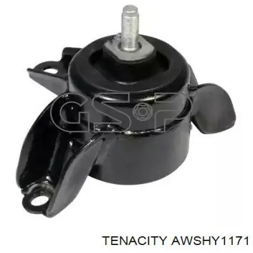 Comprar AWSHY1171 Tenacity Soporte de motor derecho