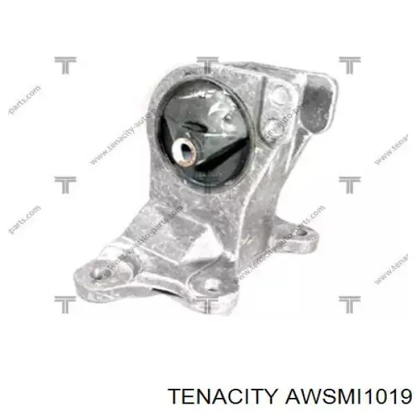 AWSMI1019 Tenacity soporte motor izquierdo