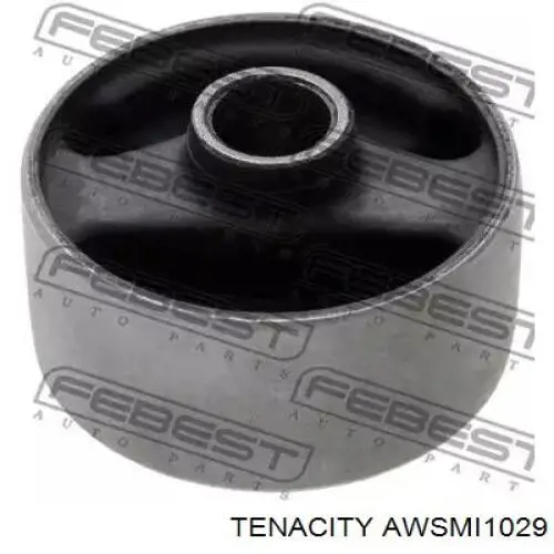AWSMI1029 Tenacity