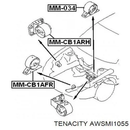 AWSMI1055 Tenacity soporte de motor trasero